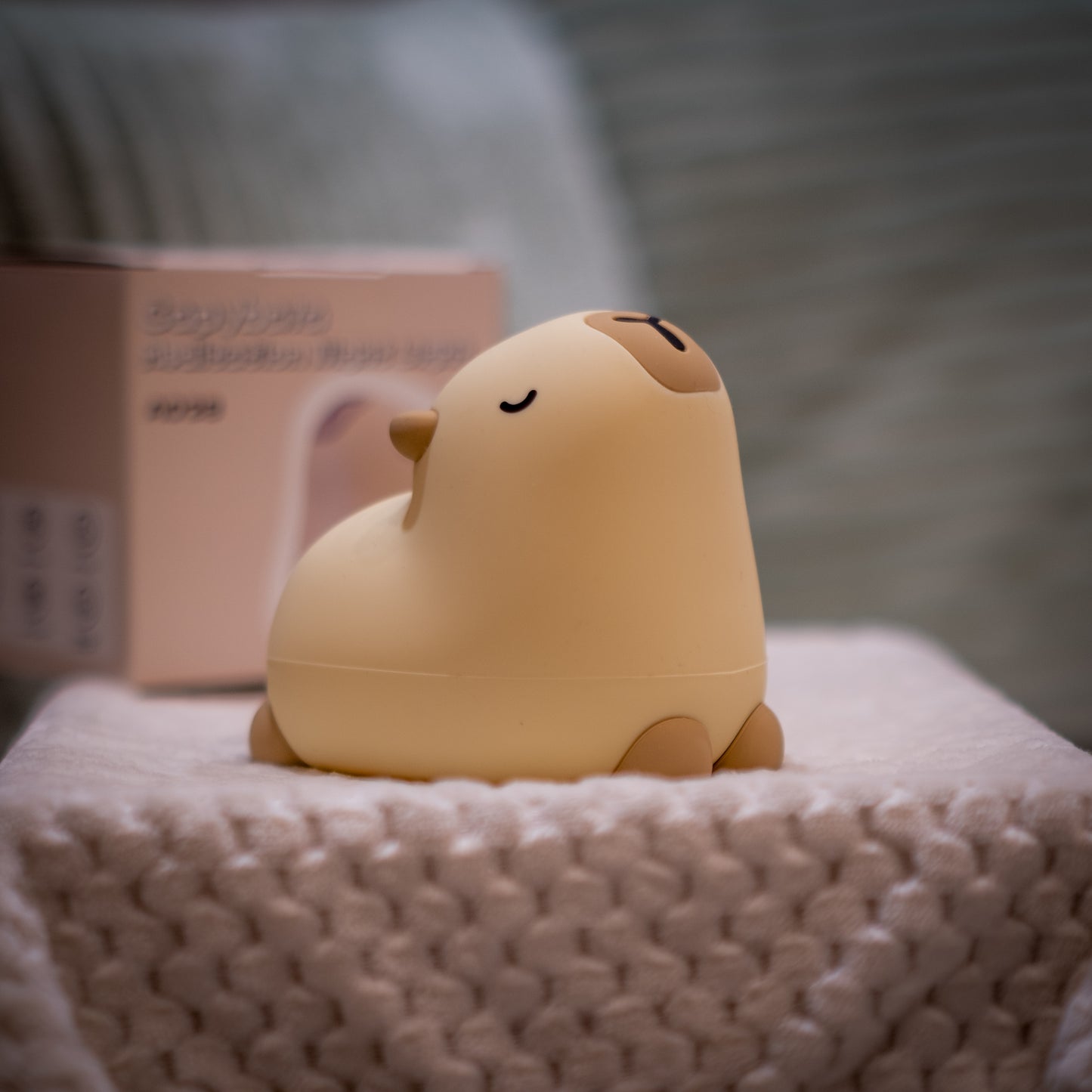 Kapi das Capybara – LED-Nachtlicht