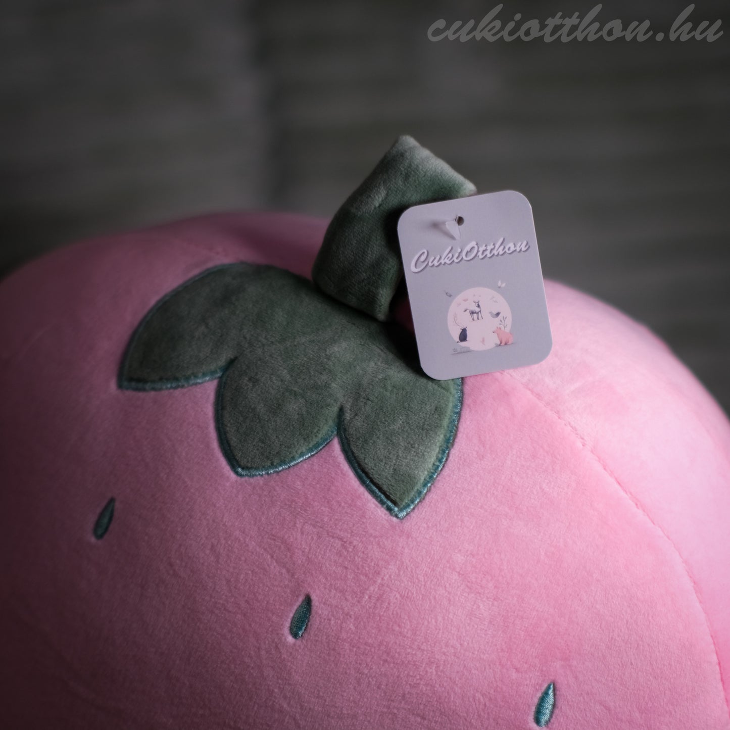 Erdbeerkissen mit Decke